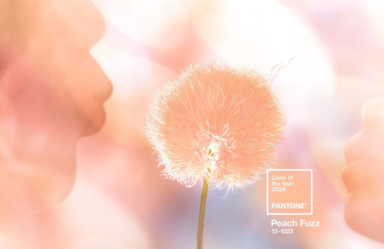 Pantone 2024'ün rengi