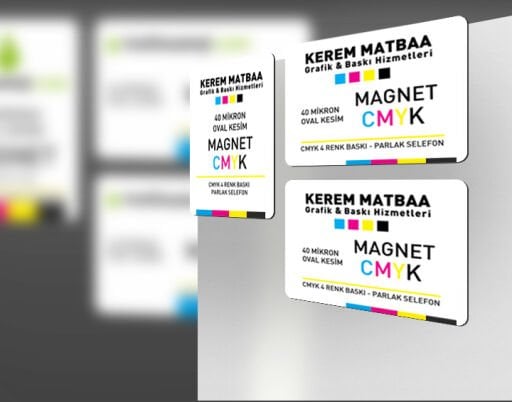 Magnet